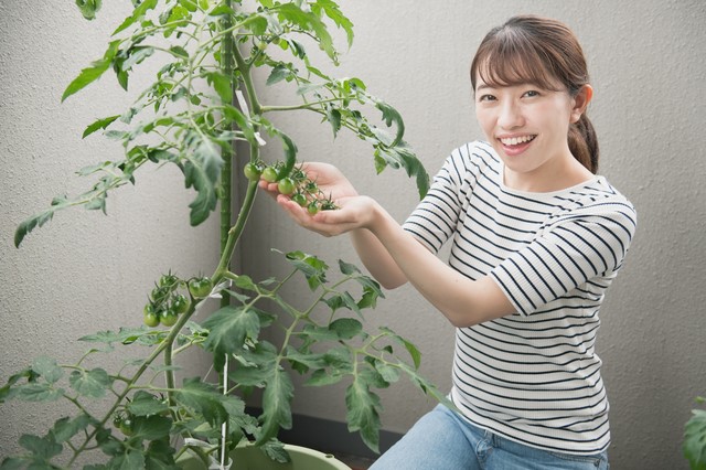 ベランダガーデニングを楽しむ 初心者にもおすすめのベランダ菜園 Kensoマガジン