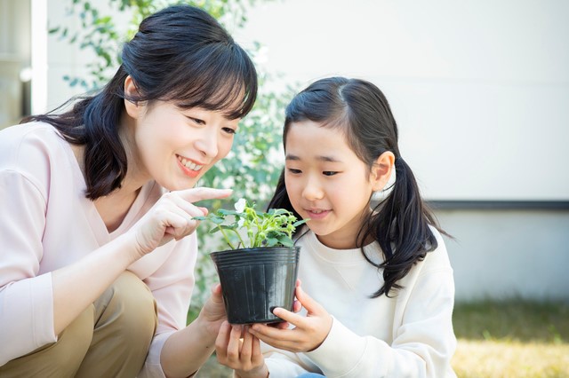 ベランダガーデニングを楽しむ 初心者にもおすすめのベランダ菜園 Kensoマガジン