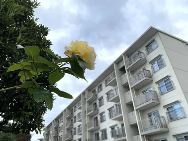 管理組合