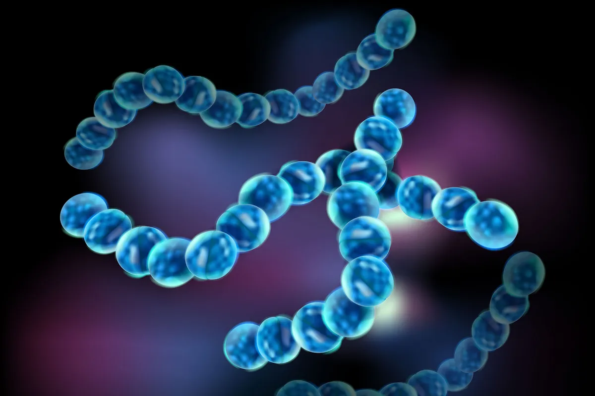 人食いバクテリア　短時間で悪化する喉の痛みと発熱にご注意を！