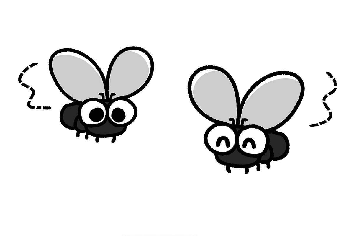 コバエはいったいどこから？ マンションで今日からできる予防法＆駆除のコツ